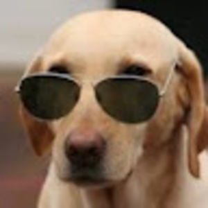 Meet your Posher, Evan